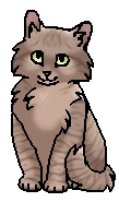Камышинка (котёнок)