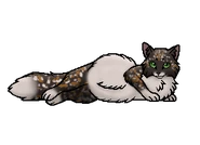 Пестроцветик (королева)