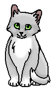 Иголочка (?) (котёнок)