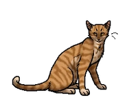 кошка клана