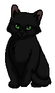 Прыгушок (котёнок)