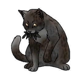 Ястребок (целитель)