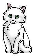 Белолапка (котёнок)