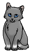 Волчишка (котёнок)