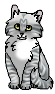Лунничка (котёнок)