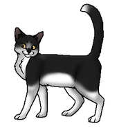 Бледнолика (воительница).png (26 КБ) Бледнолика (?) (воительница)