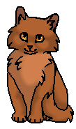 Золинка (котёнок)