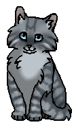 (котёнок)