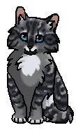 Пеплогривка (котёнок).png (19 КБ) Пепелинка (котёнок)