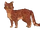 Марло