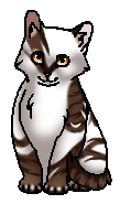 Бахромушка (?) (котёнок)
