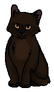 Оленёнок (котёнок)