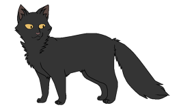 Шелкоушка окрас