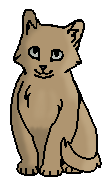 Щебенёк (?) (котёнок)