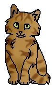 Розочка (котёнок)