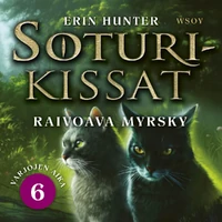 Неистовая буря фин АК.png (1,11 МБ) Финская аудиокнига