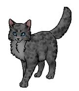 Пестроусая (оруженосец).png (25 КБ) Пестролапка (оруженосец)