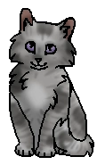 Лавандочка (?) (котёнок)