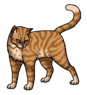 звёздный предок