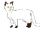 Темноблик
