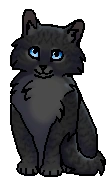 Щучка (?) (котёнок)