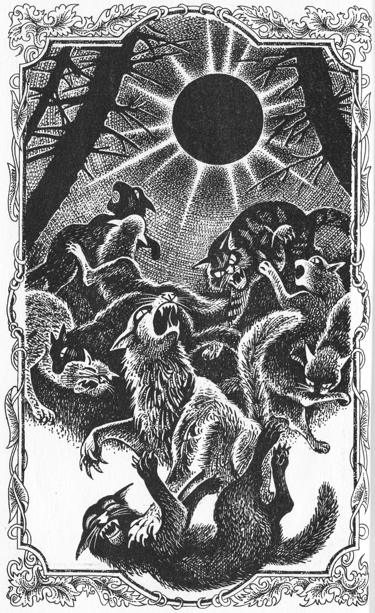 огнезвезд остролистая львиносвет воробей. коты воители книга затмение. читать затмение воители. длинные тени. коты воители кот с затмением.