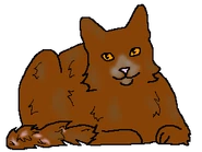 Шаркун (старейшина)