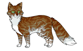 Звонкий Ручеёк окрас