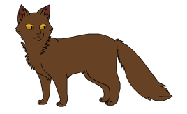 Порхающая Птичка окрас