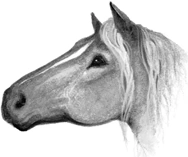 Лошадь Секреты племён англ