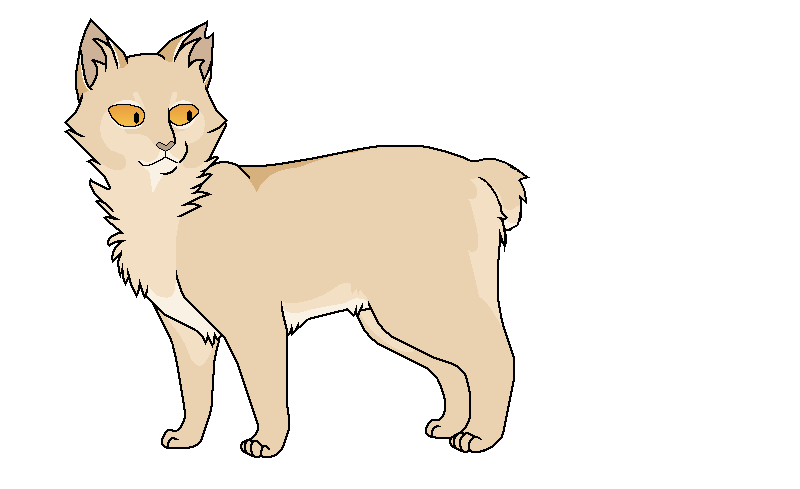 Ravenpaw Warrior cats  Кот-воитель, Кот, Герои