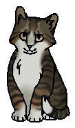 Булыжник (?) (котёнок)
