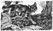 Рыжинка ведёт котят в Грозовое племя Длинные тени
