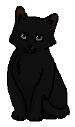 Ночничок (котёнок)