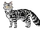 Шмель