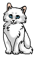Пуховничек (?) (котёнок)