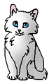 Облачко (котёнок)