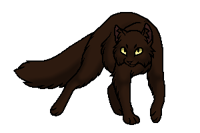 МО9 (бродяга)