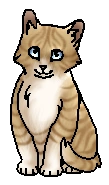 Заливчик (?) (котёнок)