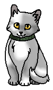 Тейлор (?) (котёнок)