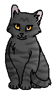 Прыгушенька (котёнок)