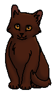 Сапсанчик (?) (котёнок)