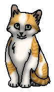 Синий Усик (котёнок)