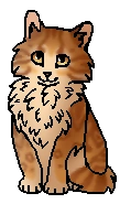 Львёнок (котёнок)