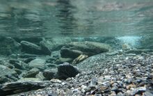 ReWalls.com-39339-1024x640.jpg