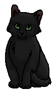 Ночка (котёнок)