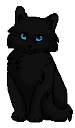 Лисонька (котёнок)