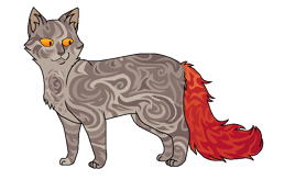 Розохвостка окрас