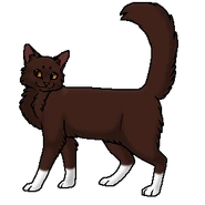 Белолапый (воитель)