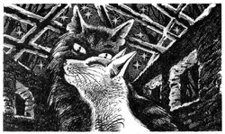 Тайная встреча